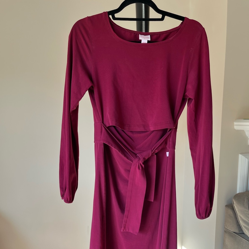 Elegant Magenta Long Sleeve Dress
